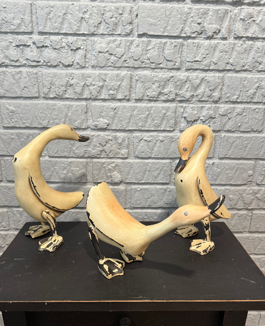 Duck with Neck Down